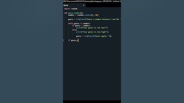 Simple Guessing Game in Python