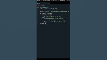 Simple Guessing Game in Python