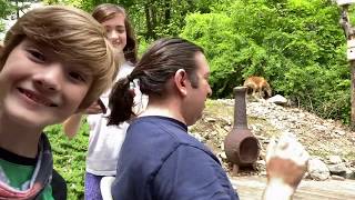 My Quarantine Haircut