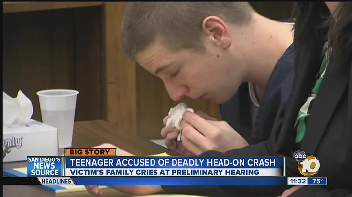 Witnesses describe young man's driving prior to fa...
