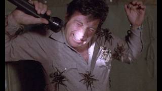 DOUBLE TAKE: SPIDERS & ANTS FROM 1977
