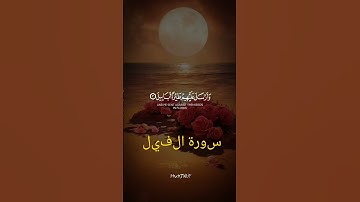 سوره الفيل #تلاوة_خاشعة #اكسبلور #يارب