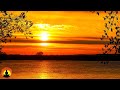 Deep Sleep Music, Relaxing Music, Insomnia, Calm Music, Sleep, Relax, Spa, Study, Sleeping, ☯3631