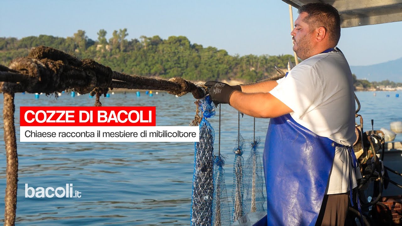 Le Cozze di Bacoli sono le migliori?
