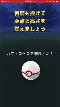 カプコケコ Youtube カプコケコ Youtube