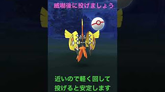 ポケモンgo まなてぃ