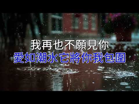[KARAOKE] 爱如潮水 - 张信哲