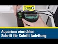 Aquarium einrichten und pflegen | Schritt für Schritt Anleitung