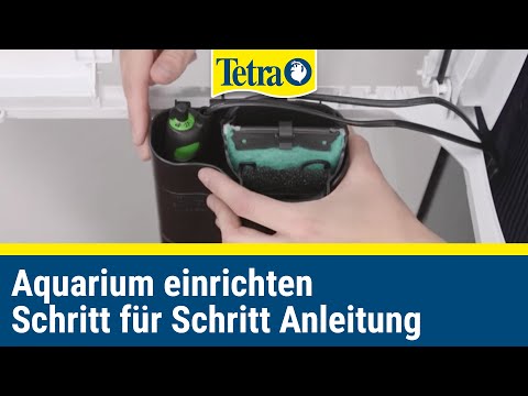 Video: So Installieren Sie Einen Innenfilter In Einem Aquarium