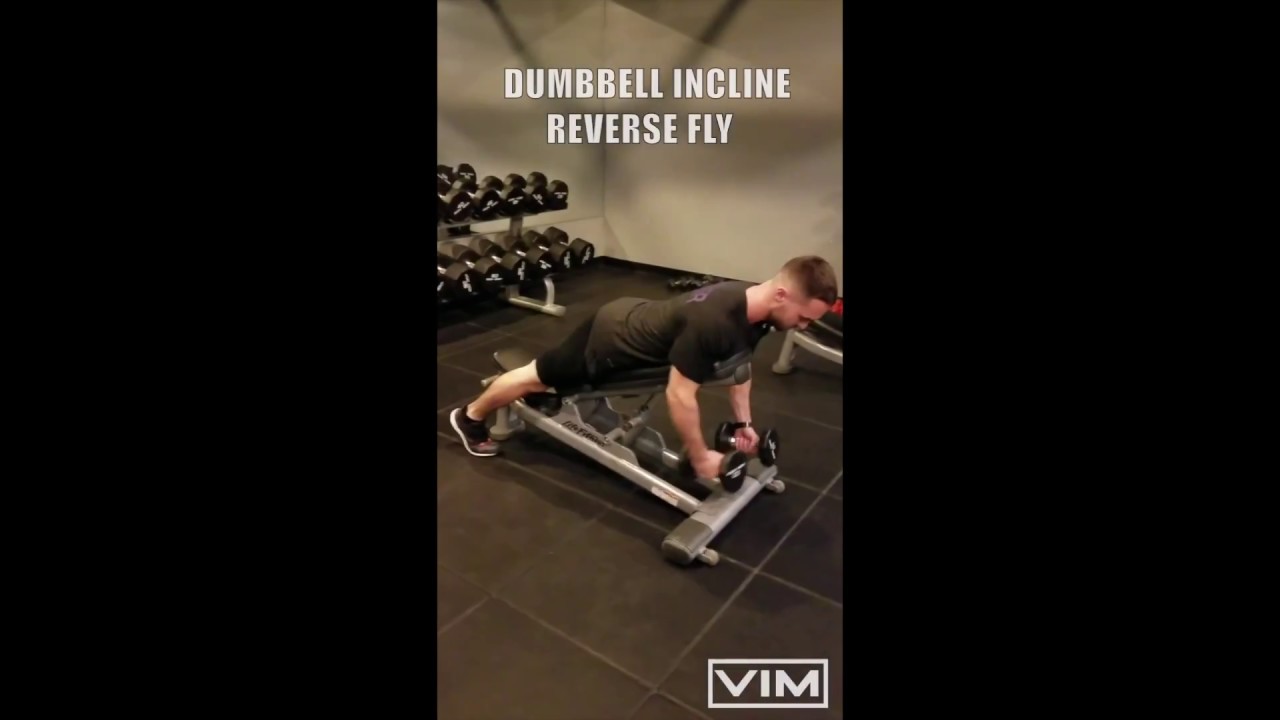 Free Weights Functional Movement Series Dumbbell Incline Reverse