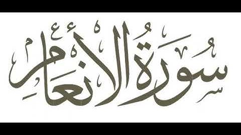 Surah Al-An'am | سورة الأنعام كاملة | القارئ عبد الرزاق الدليمي | تلاوة جميلة