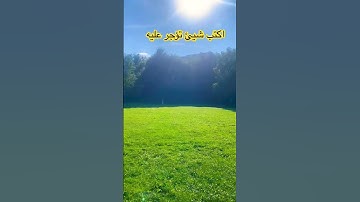 #اكسبلور  سورة الكهف تلاوة الشيخ محمد الفقيه #funny