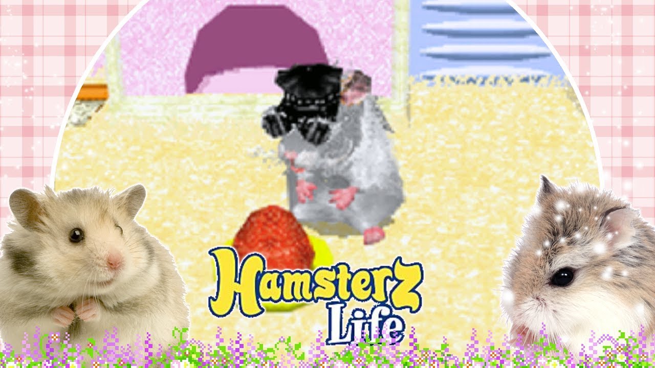 Hamsterz Life - Nintendo DS