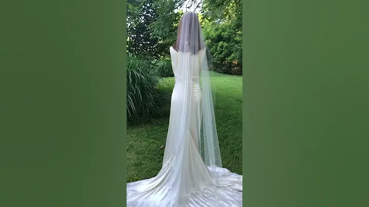 Hand-Painted "Magpie" Veil from PARIS by Debra Mor...