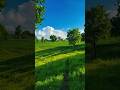 Pradera Verde en 4K 🌿☀️ | Paisaje Relajante para Paz y Calma | Serenova Zen #relax #shortsfeed