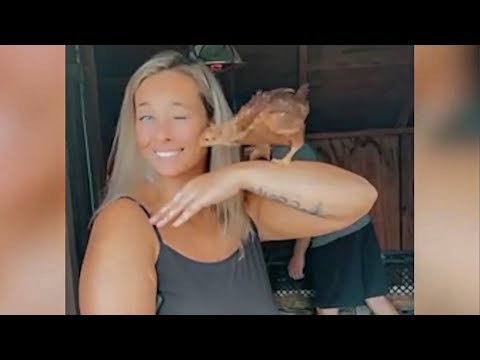 TRY NOT TO LAUGH WATCHING FUNNY FAILS VIDEOS 2022 #197