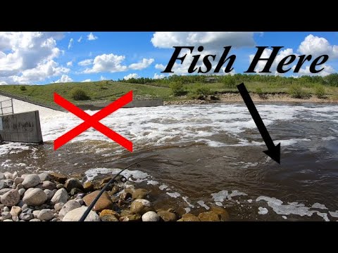 How to Fish a Fast Moving River (Finding Fish is Easy) - YouTube