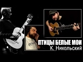 Птицы белые мои - Константин НИКОЛЬСКИЙ / Гитарин (#6)