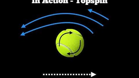 Biomechanics - The Magnus Effect