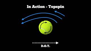 Biomechanics - The Magnus Effect