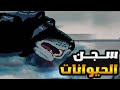 رواية كلاب الطاعون كاملة 
