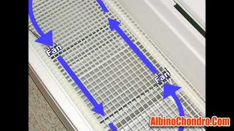 Egg incubator design and assembly - AlbinoChondro.com