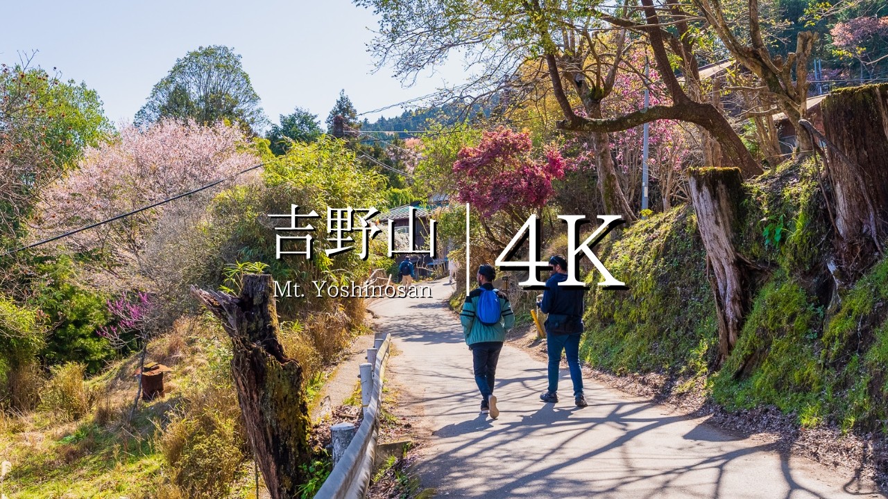 【吉野山の桜景①】下千本→上千本まで歩く - JAPAN in 4K