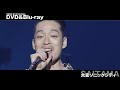 『LIVE HOUSE TOUR 2024 CROSSROAD』 埼玉公演をPick up!