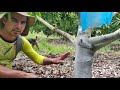 Guanabana pintando arboles con bomba de palanca