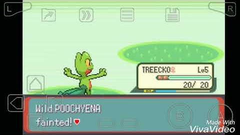 Pokemon emerald level up cheat