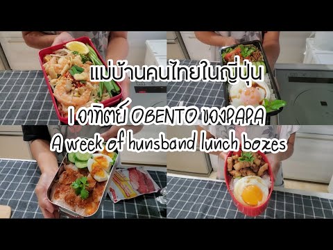 Cherrymama-Family 187-แม่บ้านคนไทยในญี่ปุ่น-4A-week-of-hunsband-lunch-boxesอาท