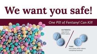 Fentanyl Education For Schools