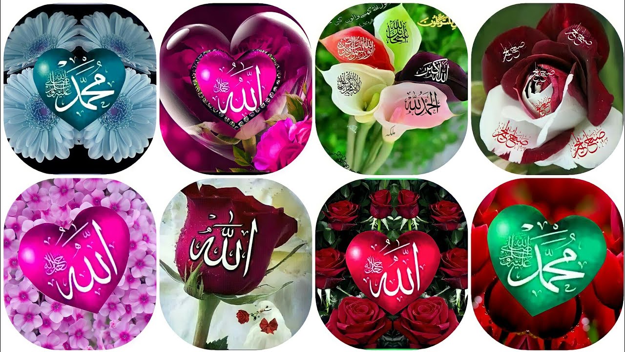 So Beautiful #Flowers Islamic Dp|#Islamic Dp/Dpz |#Muslim Dp/Pic ...