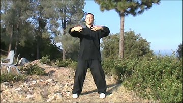20 Min. Daily Standing Meditation (Zhan Zhuang Qigong) Follow-Along
