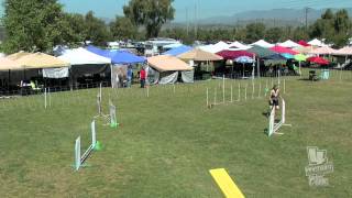 Tinkerbell_Sat_Team_Standard_DART_USDAA_Regionals_2012.m4v