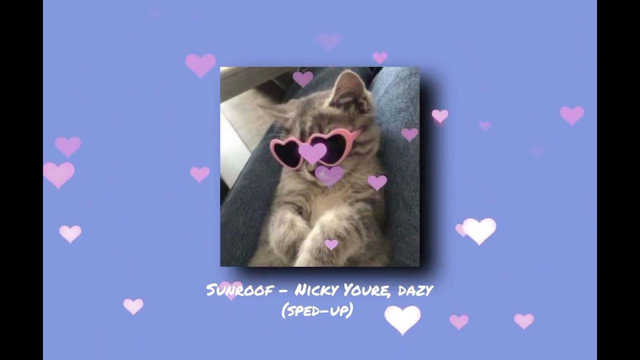 Sunroof - Nicky Youre, dazy (sped-up) Sunroof - Nicky Youre, dazy (sped-up)