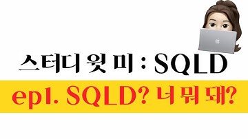 [스터디 윗 미: SQLD] EP1. SQLD? 따면 뭐가 좋아? (SQL이란, SQL 개발자 직무, 우대기업, 과목)