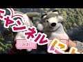 あるる〜Animal Girls〜 日本橋オタロード店