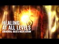 Healing At All Levels: Physical, Emotional & Spiritual Healing | Binaural Beats Meditation