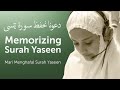 Surah yasin bacaan puja syarma