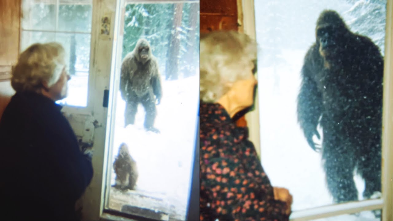 Замёрзшая мать-бигфут просит убежища. То, что произошло дальше, заставило её плакать — история о ...