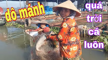 Quá Vui Khi Thăm Lưới Kiểu Này Cá Dính Lưới Gỡ Không Kịp Luôn # SĂN BẮT ĐỒNG THÁP #