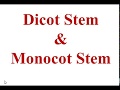 Dicot stem and Monocot stem (B.Sc. 3rd Sem) GDC, Kargil