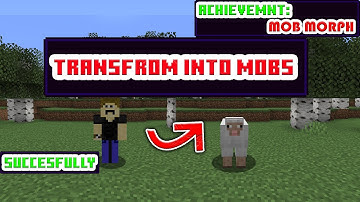 Minecraft But You Can Transform Into Mobs | Mob Morph | Day 67 Of 100 Days 100 Videos Challenge