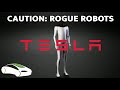 Elon Musk&#39;s Tesla Bot, We&#39;re Doomed