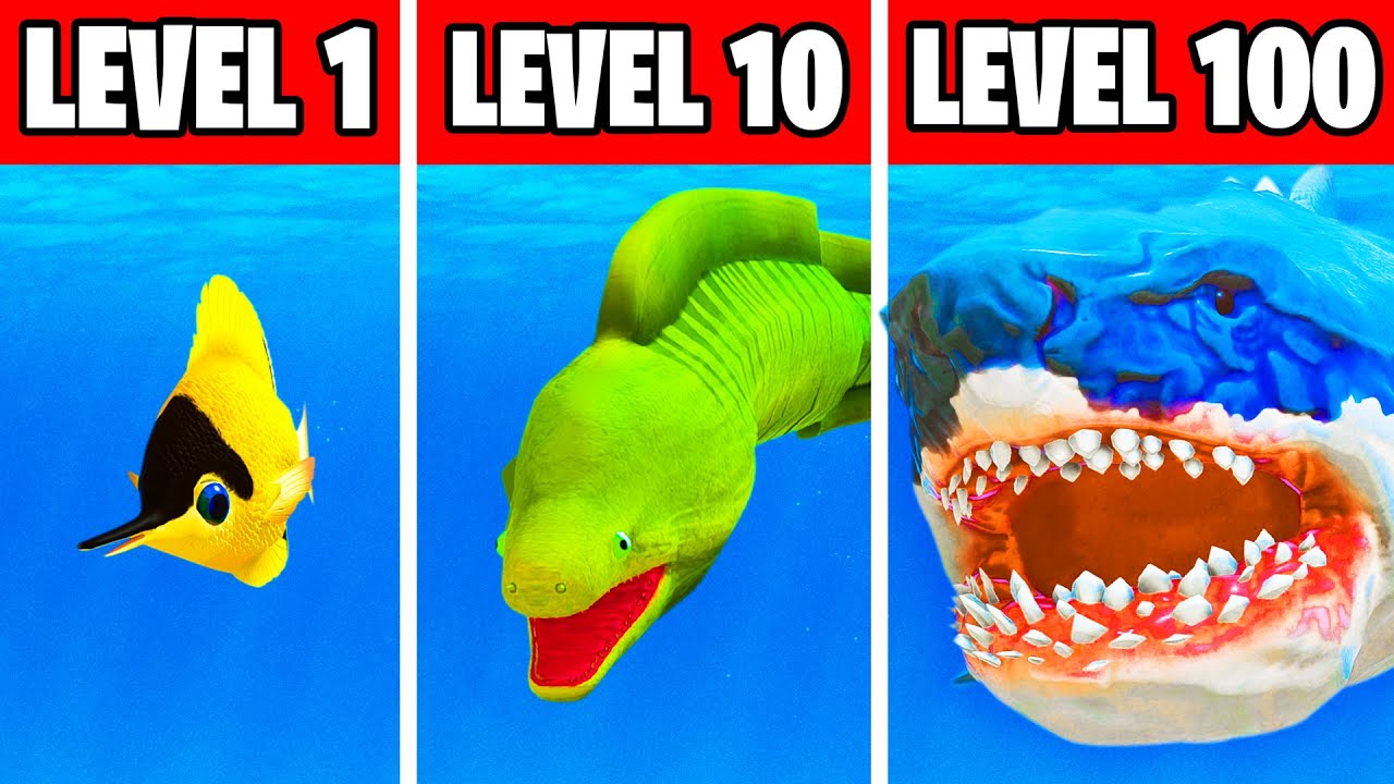 About: Tips Fish Feed & Grow Fish Free (Google Play version