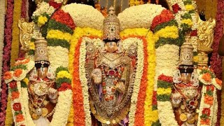 GOVINDA NAMALU - SRINIVASA GOVINDA SRI VENKATESA GOVINDA DEVOTIONAL SONG 🙏🏻🙏🏻🙏🏻 screenshot 5