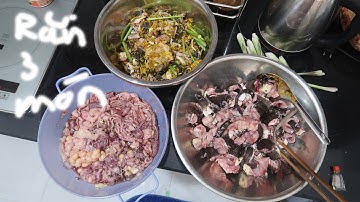 Rắn Xào Lăn - Rắn 3 món | LTMĐ