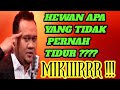 Momen Lucu Cak Lontong Bikin Ngakak! Kalah Main Tebak tebakan -Afri sorong