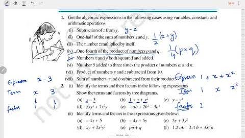 Algebraic Expressions | Class 7 Mathematics Exercise 12.1